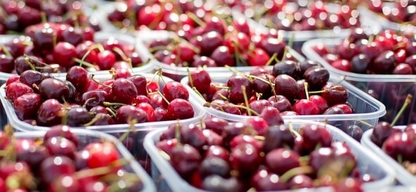 Na farmářských trzích koupíte třeba i třešně a višně a další ovoce