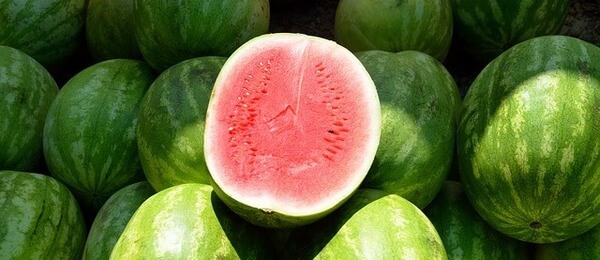 Je meloun ovoce nebo zelenina. Odpověď vás překvapí.