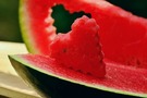 Může pes jíst meloun? A co dělat když ho sežere