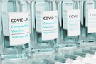 Vakcína od Novavax proti covid-19 (Nuvaxovid) v ČR