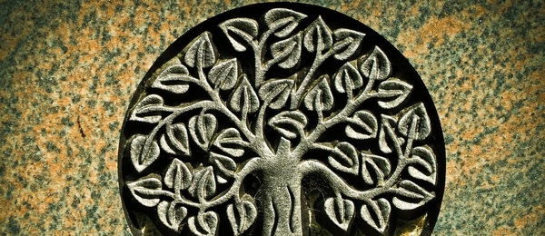Co znamená symbol strom života? Znak, obraz i tetování