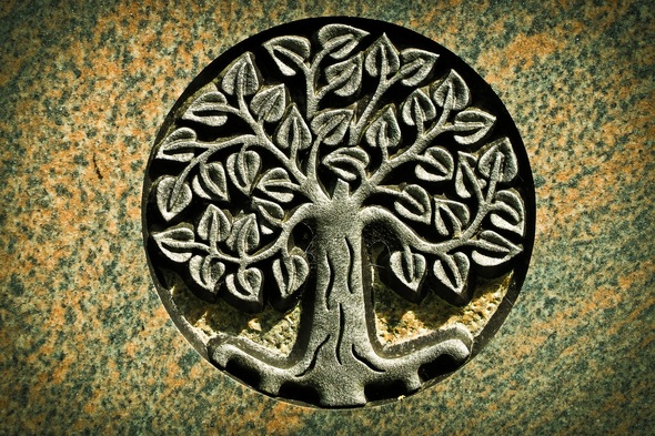 Co znamená symbol strom života? Znak, obraz i tetování
