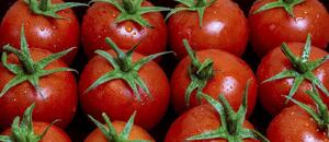 tomato-g238dd0752-1280.jpg