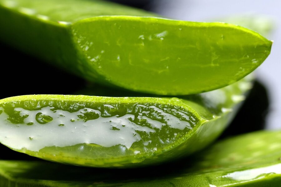 Aloe vera gel – přírodní lék nejen na letní dobrodružství