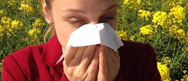 Jaké pylové alergie vás mohou potrápit právě dnes?