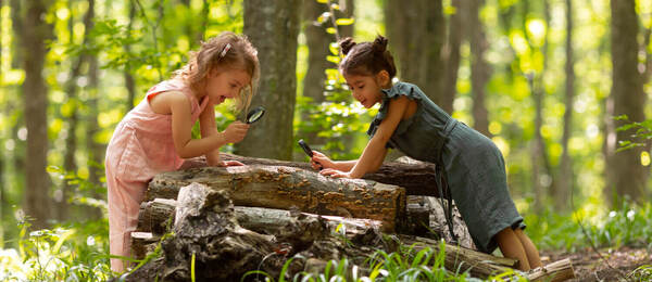 Co je lesní školka pro děti a kolik stojí?