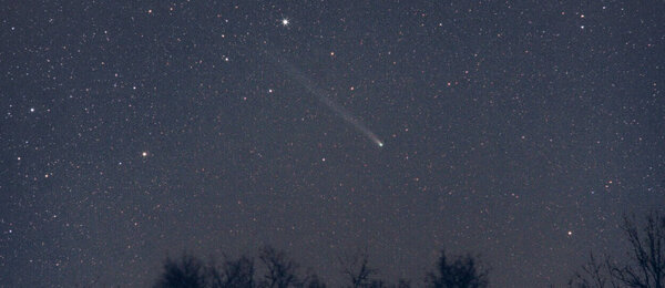 Kometa Nišimura